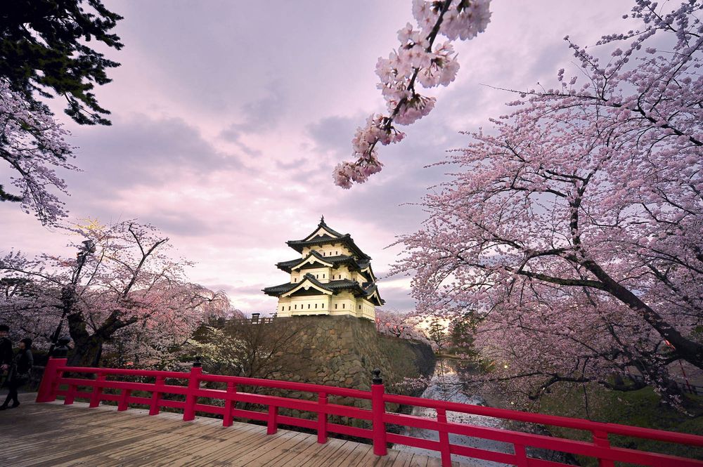 Kyoto