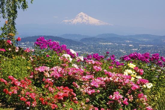 Portland